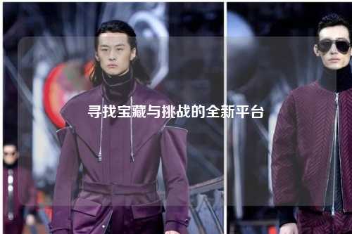寻找宝藏与挑战的全新平台